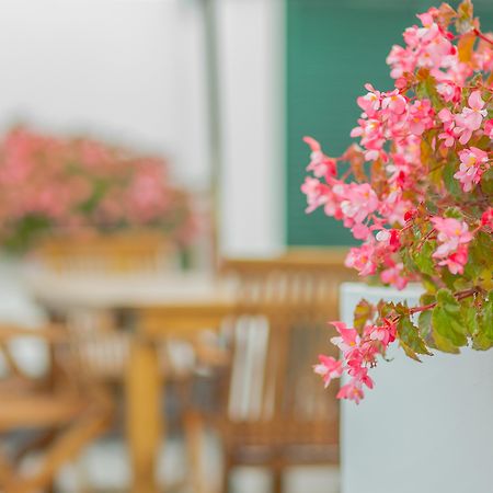Comercial Boutique Guest House ポンタ・デルガダ エクステリア 写真